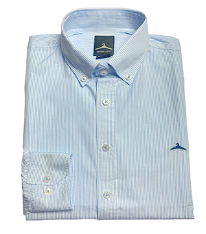 Camisa Alba Lineas Azul